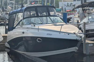 Rinker Fiesta Vee 250