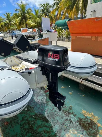 Goin' Coastal Yacht Photos Pics Inflatable boat with NS Marine outboard motor, docked near palm trees.