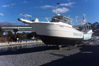 Shamrock 290 Walkaround