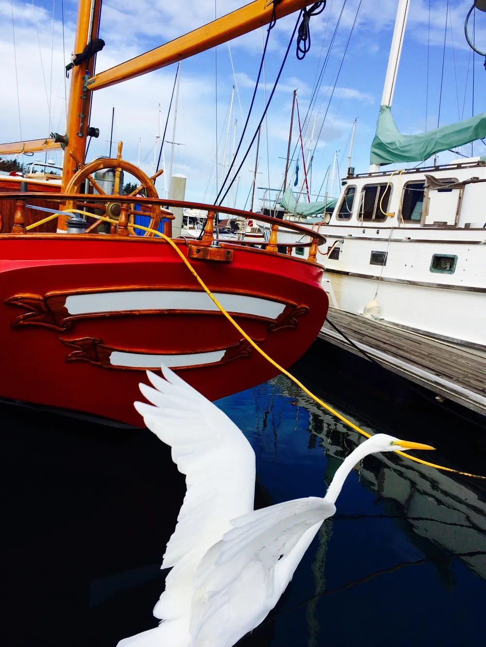 A white bird flies near a 1971 Formosa 41 sailboat docked at a marina.