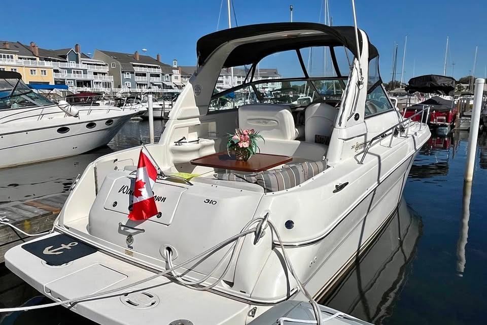 Sea Ray 310 Sundancer