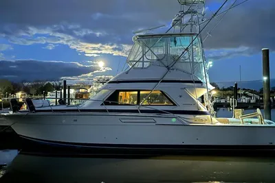 Bertram 43 Convertible