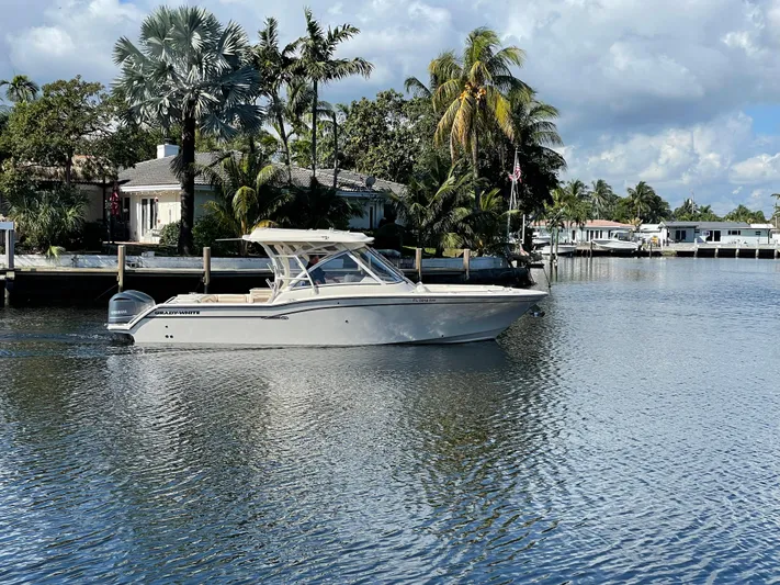  Yacht Photos Pics 2019 Grady-White Freedom 325 boat on a serene waterfront with palm trees.