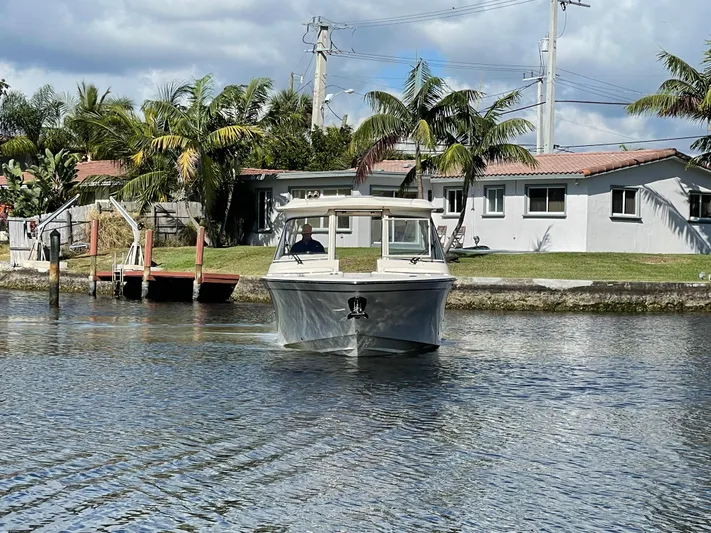  Yacht Photos Pics 2019 Grady-White Freedom 325 boat cruising near waterfront homes and palm trees.
