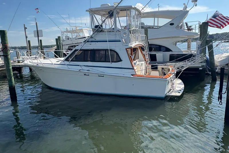 Monkey Business Yacht Photos Pics 1988 Egg Harbor 37 Convertible yacht docked at marina, clear sky, calm water.