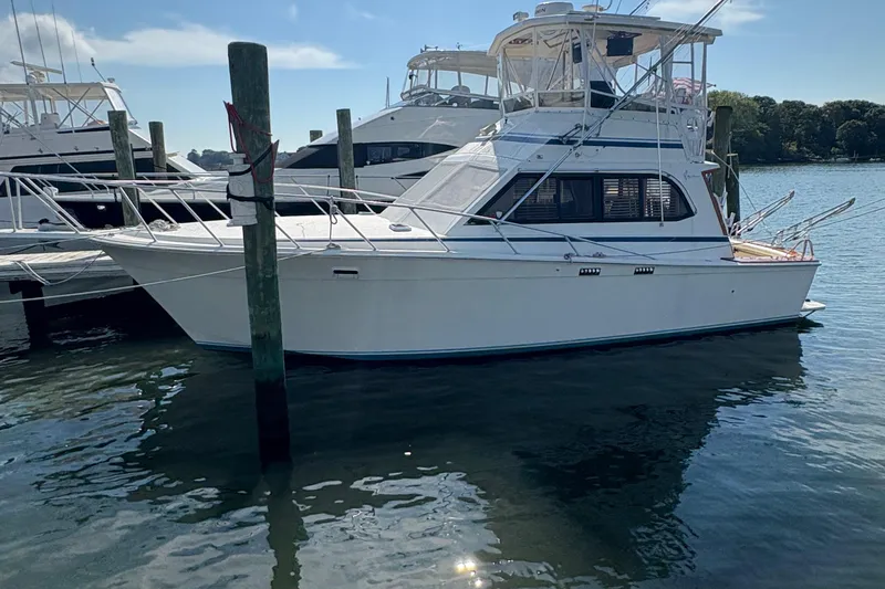 Monkey Business Yacht Photos Pics 1988 Egg Harbor 37 Convertible yacht docked in a marina under clear skies.