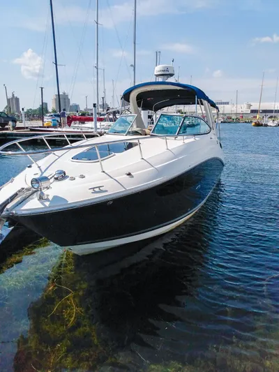 280 Sundancer Yacht Photos Pics 