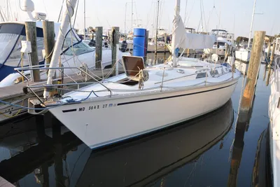Hunter Legend 40
