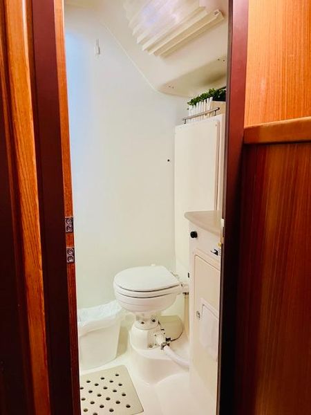 2010 Catalina 445
