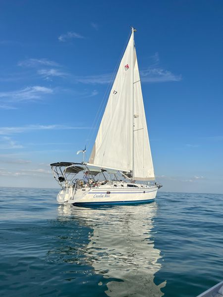 2010 Catalina 445