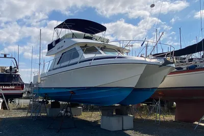Zeta 36