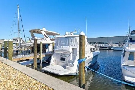 Lazy Gray Yacht Photos Pics 2008 Sea Ray 40 Motor Yacht docked at marina under clear blue sky.