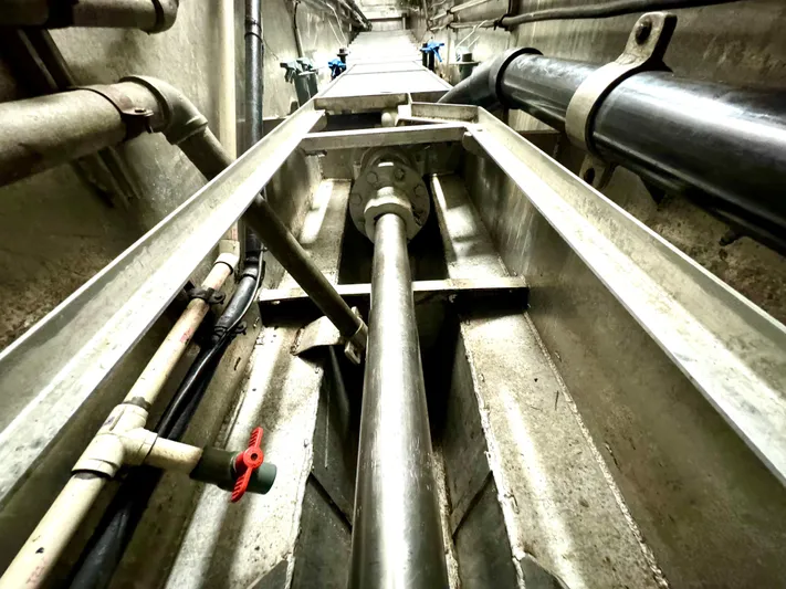 Western Shore Yacht Photos Pics 