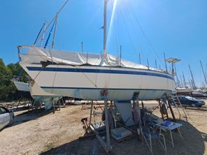 1979 Custom CONATI 31