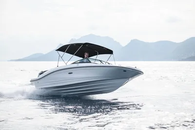 2025 Sea Ray SPX 210 Outboard