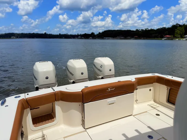 Wild Horses Yacht Photos Pics 