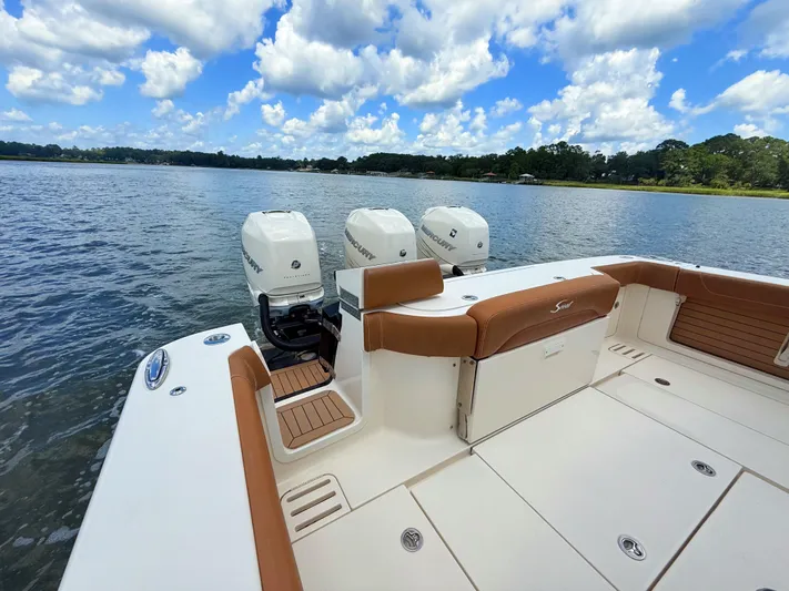 Wild Horses Yacht Photos Pics 