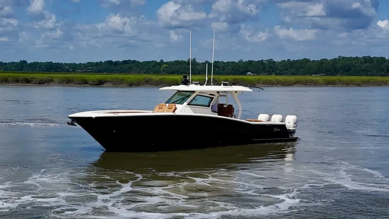 Wild Horses Yacht Photos Pics 