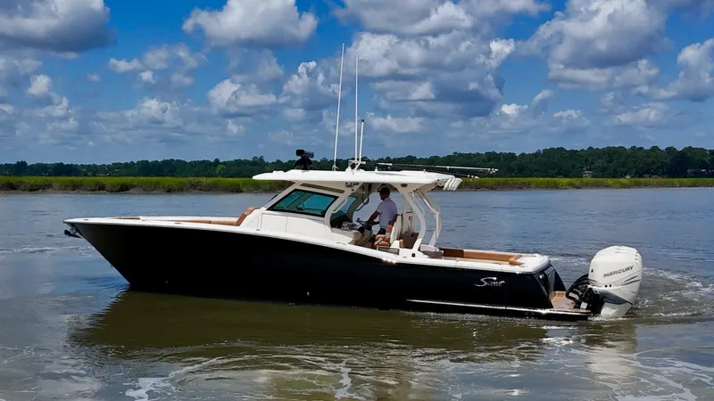 Wild Horses Yacht Photos Pics 