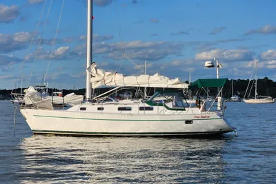 Freedom 35