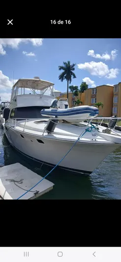  Yacht Photos Pics 1985 Bertram 46 Convertible yacht docked under a sunny sky with palm trees.