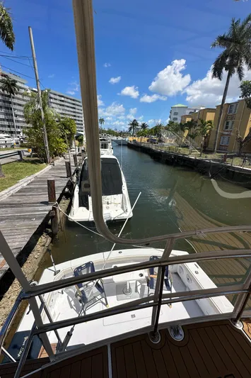  Yacht Photos Pics 1985 Bertram 46 Convertible docked in a sunny canal with palm trees and buildings nearby.