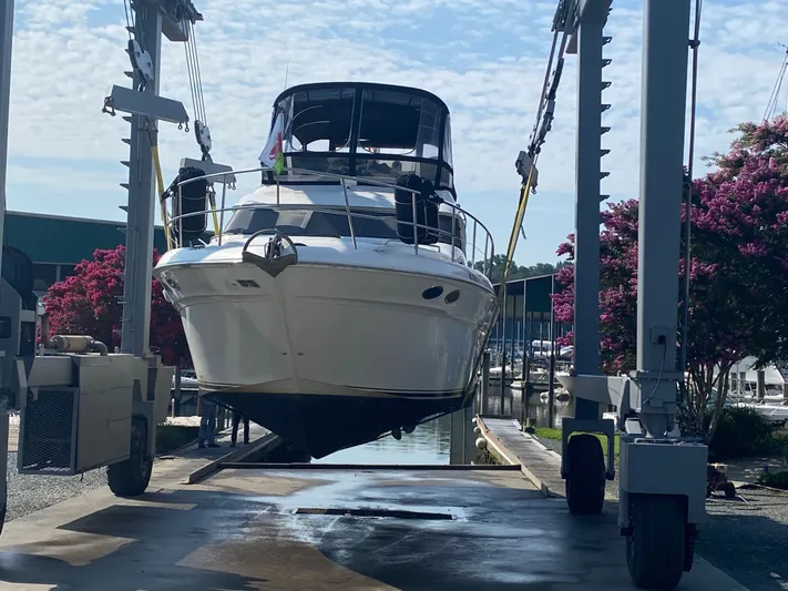 Cariad Yacht Photos Pics 