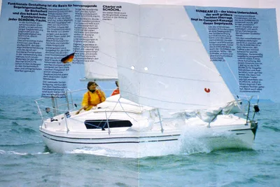 1982 Custom Sunbeam23 Kielschwert