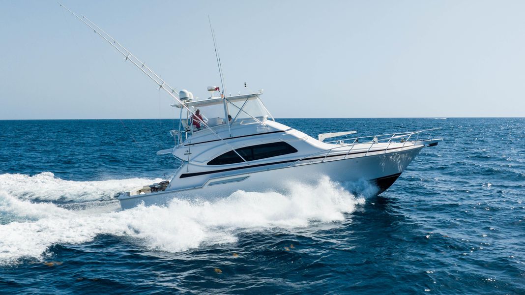 2001 Bertram 51