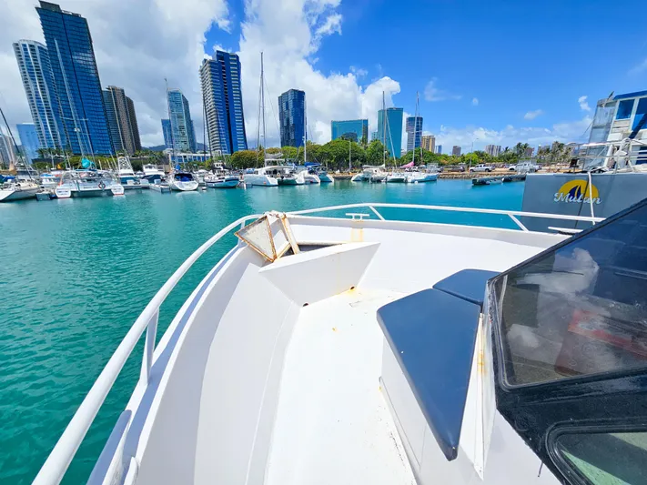 Celebration Yacht Photos Pics 