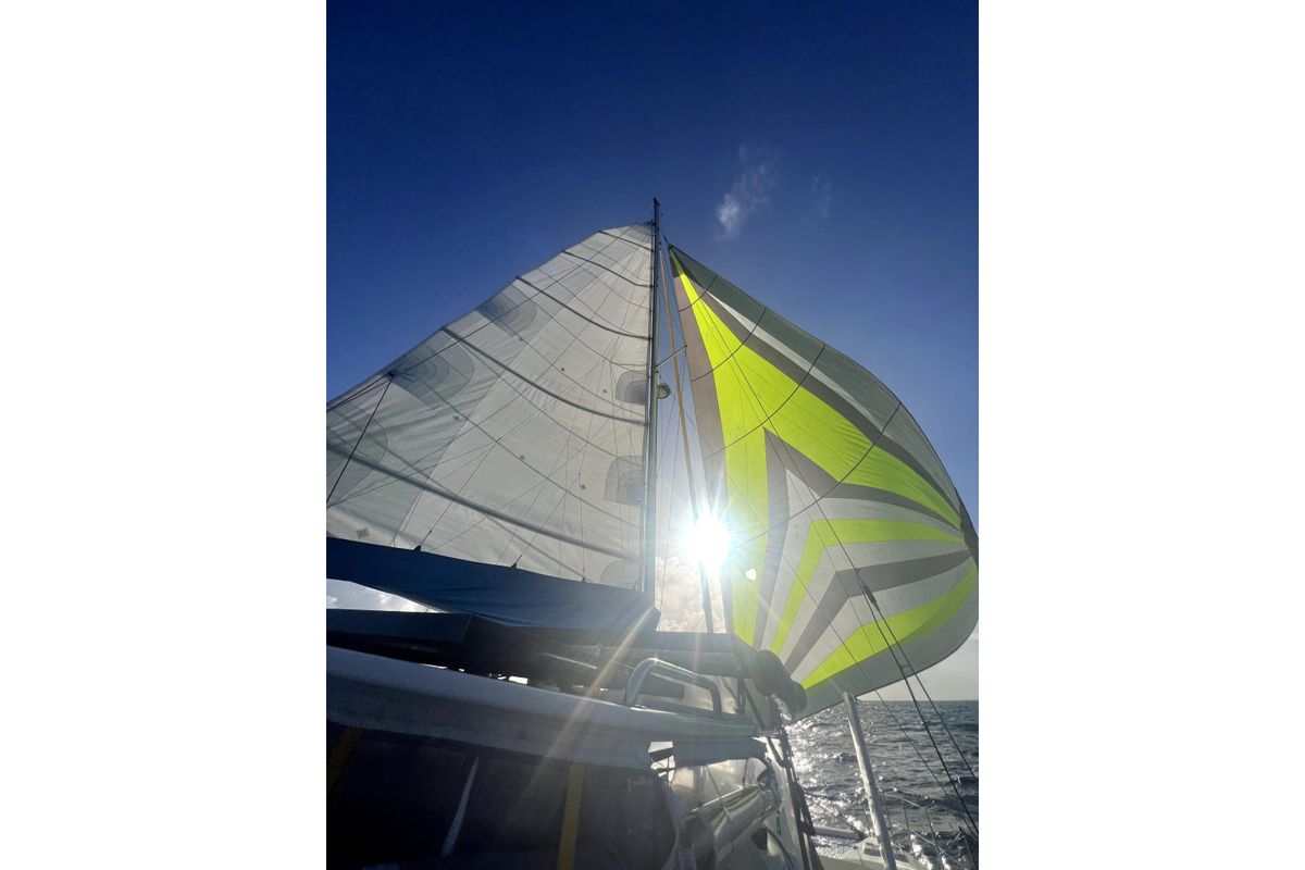 2006 Dolphin 46 