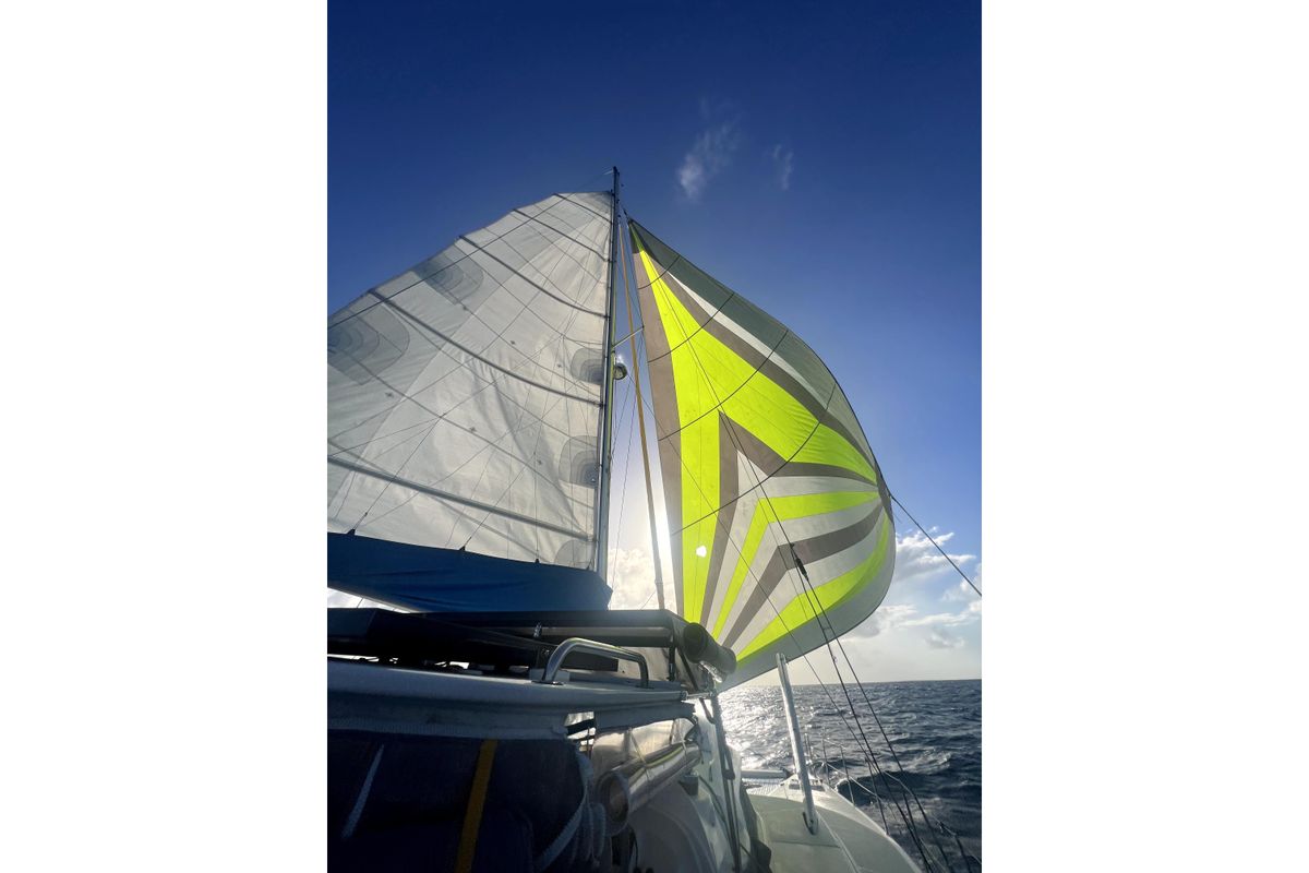 2006 Dolphin 46 