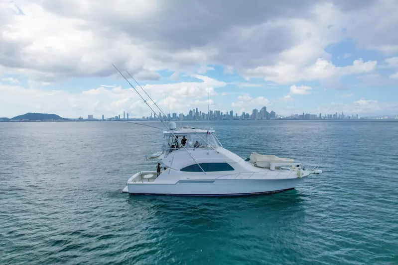  Yacht Photos Pics 2007 Bertram 510 Convertible yacht on open water with city skyline backdrop.