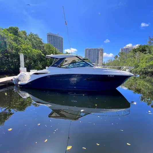 Blu Yacht Photos Pics 2020 Sea Ray Sundancer 320 Outboard yacht docked on calm water, surrounded by greenery.