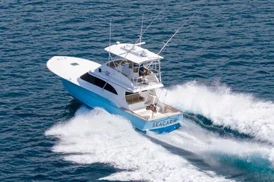 Rebel Custom Carolina