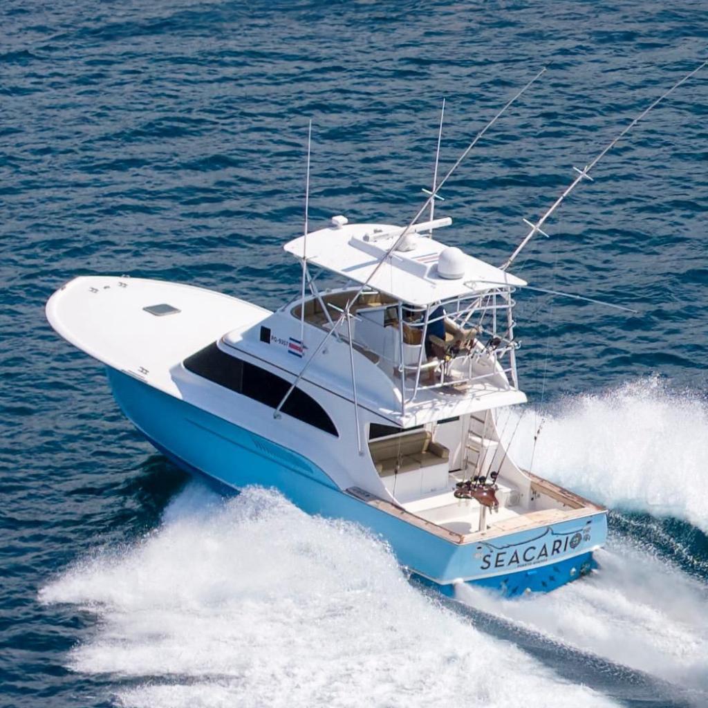 Rebel Custom Carolina