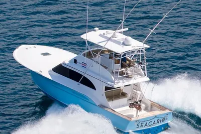 Rebel Custom Carolina