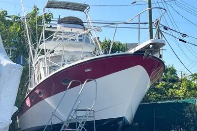 Canyon Bay 40