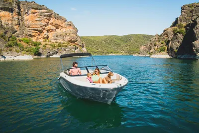 Bayliner V20i