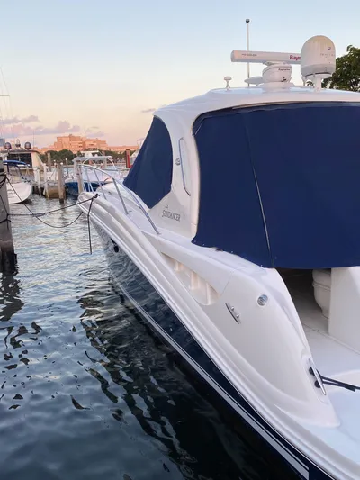 Lowest Price In Usa Yacht Photos Pics 2008 Sea Ray 44 Sundancer yacht docked at marina during sunset.