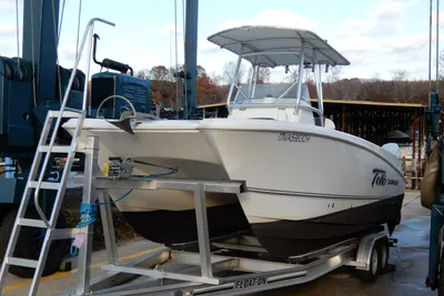 Twin Vee 240 CC GFX Limited Edition