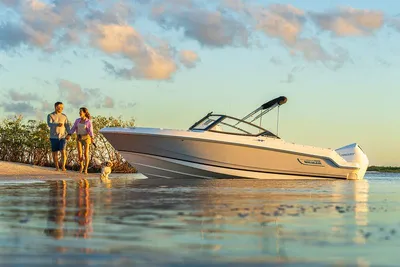 Boston Whaler 210 Vantage