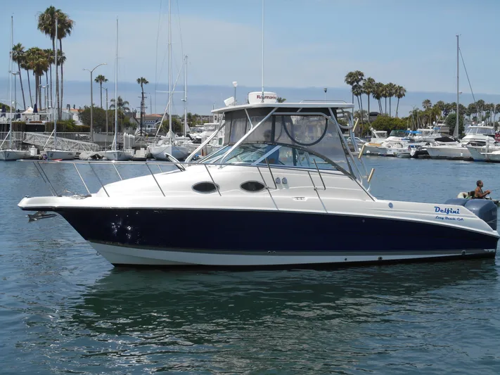 Delfini Yacht Photos Pics 2007 Wellcraft Coastal 270 boat docked in a marina with palm trees in the background.