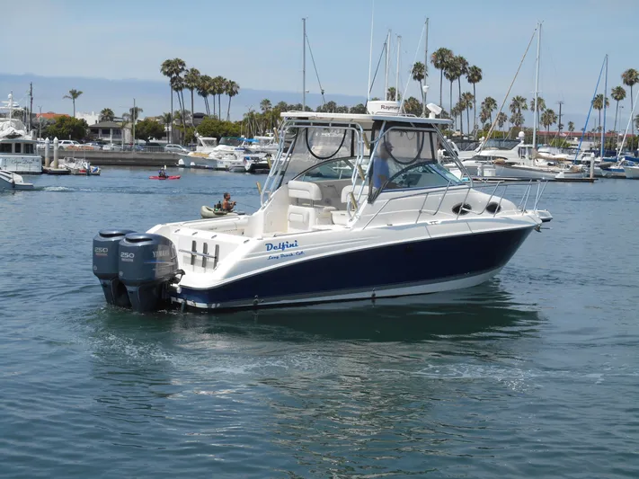 Delfini Yacht Photos Pics 2007 Wellcraft Coastal 270 boat cruising in a marina with palm trees in the background.