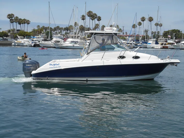 Delfini Yacht Photos Pics 2007 Wellcraft Coastal 270 boat in a marina with palm trees and other boats.