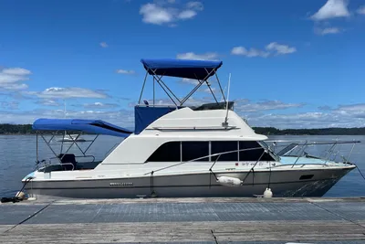 Silverton 31