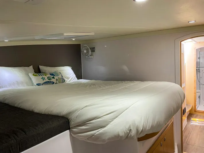 Katara Yacht Photos Pics 