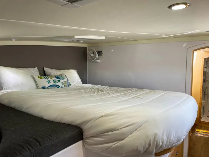 Katara Yacht Photos Pics 