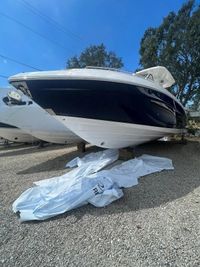 Regal 33 SAV