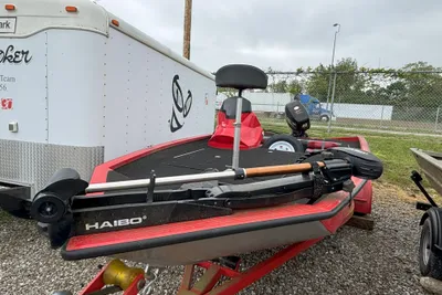 Raptor 160 Bass